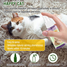 Cat enjoying calming spray for relaxation, highlights easy use and fast acting formula.