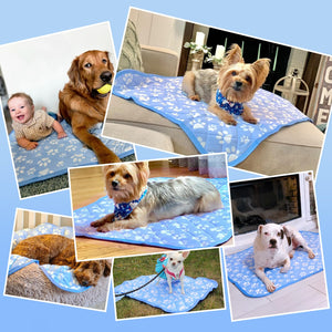 Rywell Dog Cooling Mat, Dog Cooling Mat Large 80 x 110cm, Arc-Chill Q-Max＞0.5 Endothermic Color-Changing Washable Pet Cooling Mat Large, Non-Toxic&Non-Slip