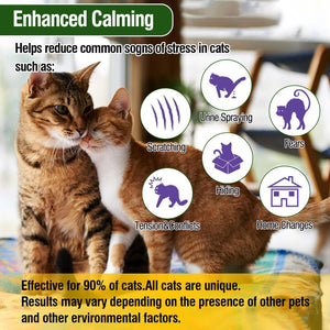 Cats experiencing enhanced calming benefits, highlighting stress signs like scratching and hiding.