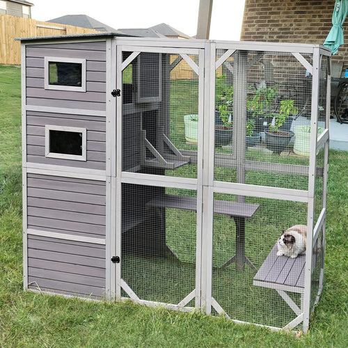 Outdoor cat house with multiple tiers, resting areas, and windows, providing a spacious catio for pets.