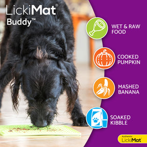 Dog using LickiMat Buddy for wet food, cooked pumpkin, mashed banana, and soaked kibble.