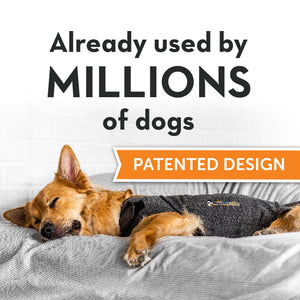Dog wearing Thundershirt Grey Anxiety Jacket, showing its patented design, trusted by millions for anxiety relief.