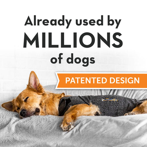 Thundershirt calming jacket for dogs in medium size, proven to reduce anxiety with patented design, used by millions.