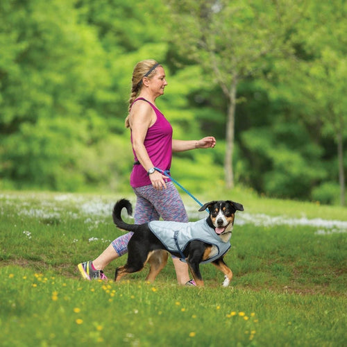 Kurgo Core Cooling Dog Vest, Cooling Jacket for Dogs, Evaporation Cooler Coat for Pets, Reflective Material, Adjustable Straps, Works with Harnesses & Collars, for Small, Medium & Large Dogs