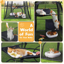 Cats playing inside a spacious Rywell extra large cat enclosure, showcasing a fun and safe environment for pets.