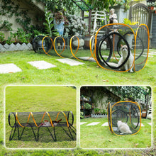 ITENT Cat Play Tunnel and Cube set for indoor outdoor use with playful cats in a garden setting, showcasing collapsible design.