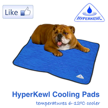 HALF PRICE CLEARANCE HyperKewl Dog Cooling Mat XS - XXL - Pet Protector Australia