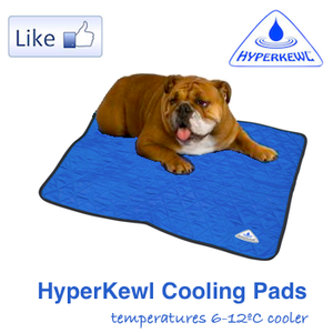 HALF PRICE CLEARANCE HyperKewl Dog Cooling Mat XS - XXL - Pet Protector Australia