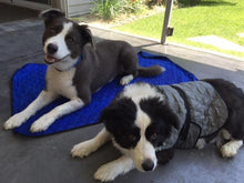 HALF PRICE CLEARANCE HyperKewl Dog Cooling Mat XS - XXL - Pet Protector Australia