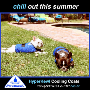 HALF PRICE CLEARANCE PROFESSIONAL QUALITY HyperKewl Dog Cooling Coat - Pet Protector Australia