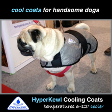HALF PRICE CLEARANCE PROFESSIONAL QUALITY HyperKewl Dog Cooling Coat - Pet Protector Australia