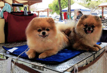 techniche hyperkewl dog cooling mat australia