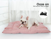 PaWz Pet Bed 2 Way Use Dog Cat