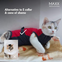 MAXX Cat Surgical Recovery Suit