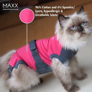 MAXX Cat Surgical Recovery Suit