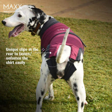 MAXX Dog Medical Pet Clothing