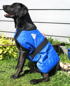 HALF PRICE CLEARANCE PROFESSIONAL QUALITY HyperKewl Dog Cooling Coat - Pet Protector Australia