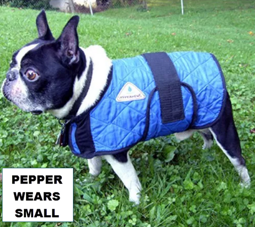 buy dog cooling coat in australia