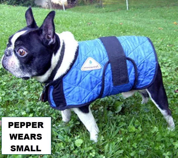 Dog cooling coats deals australia