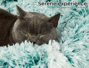 PaWz Pet Bed Cat Dog Donut Nest Calming Mat Soft Plush Kennel Teal M Teal M(70cm)
