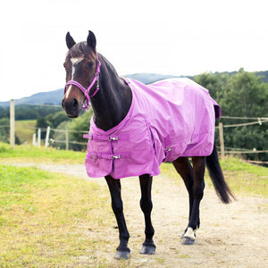 Horse Pony 600D Winter Medium Weight Turnout Blanket 200g Purple 45