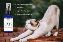 Isabella's Clearly CATS | Ticks and Fleas Product