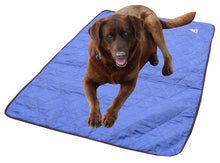 hyperkewl dog cooling mat