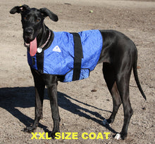 HALF PRICE CLEARANCE PROFESSIONAL QUALITY HyperKewl Dog Cooling Coat - Pet Protector Australia