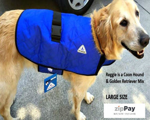 HALF PRICE CLEARANCE PROFESSIONAL QUALITY HyperKewl Dog Cooling Coat - Pet Protector Australia