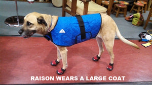 HALF PRICE CLEARANCE PROFESSIONAL QUALITY HyperKewl Dog Cooling Coat - Pet Protector Australia