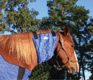 HyperKewl™ Evaporative Cooling Horse Neck Wrap - Pet Protector Australia