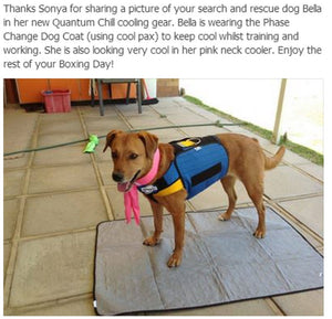 dog cooling mat in australia